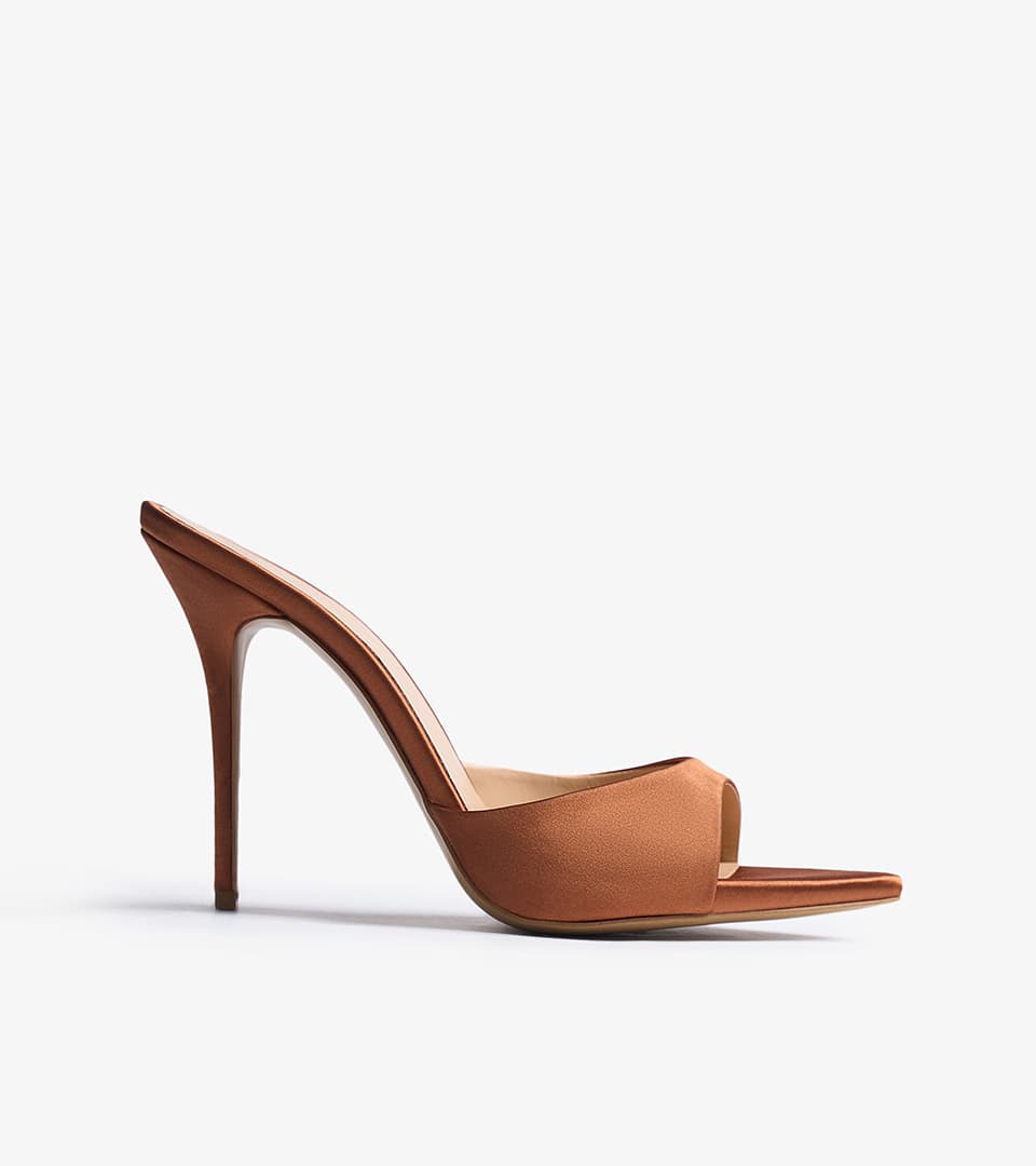 Shoe